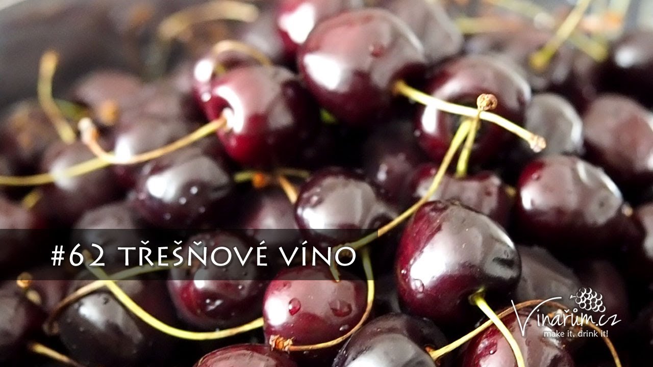 Recept na domácí třešňové víno: Jak na tuhle letní dobrotu? (1. část)