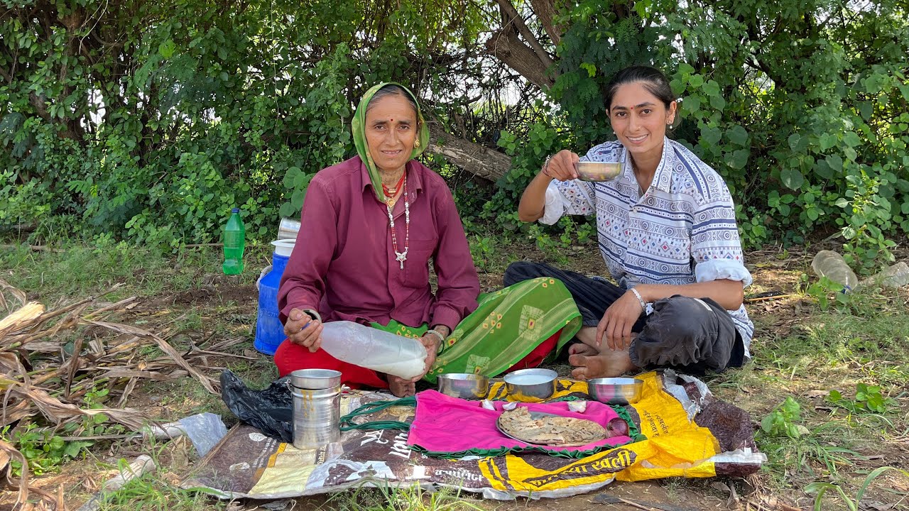 વાડી માં બપોર કરીયા | Vaadi Ma Bapor Kareya | Village Lifestyle Vlog | Asha Village Lifestyle Vlog |