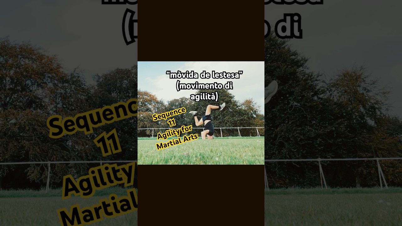 Agility for martial arts (11th form/agilit&agrave;)
