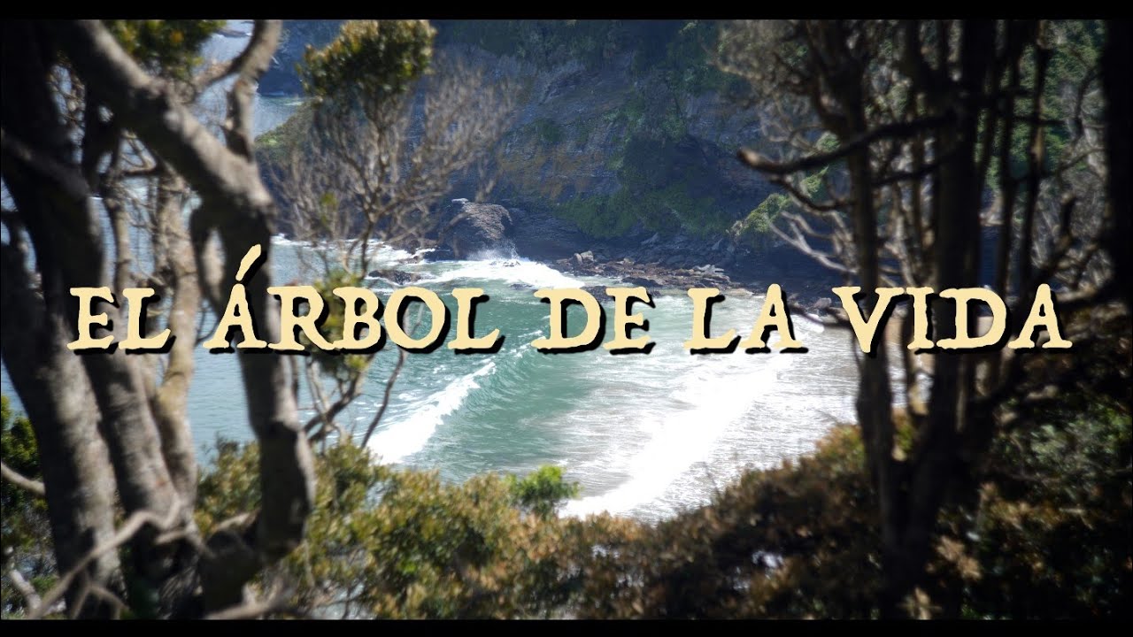 Vibración Eleva - El Árbol de la Vida (Full Álbum Visual 2025)