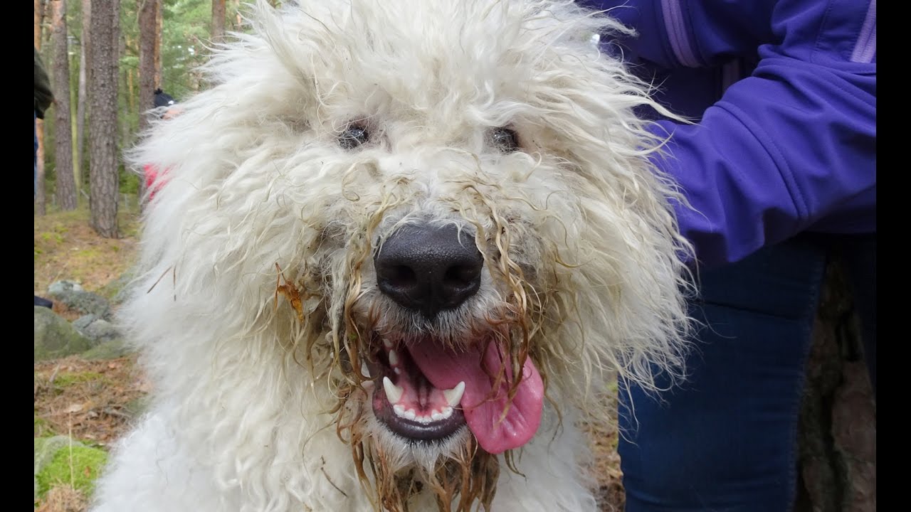 Rusletur  fra Fuglevik marina 13 04 2017
