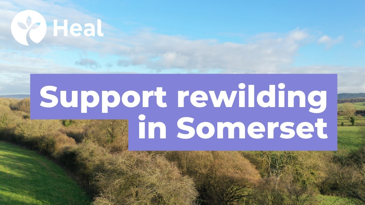 Heal Somerset - a magical new place for nature