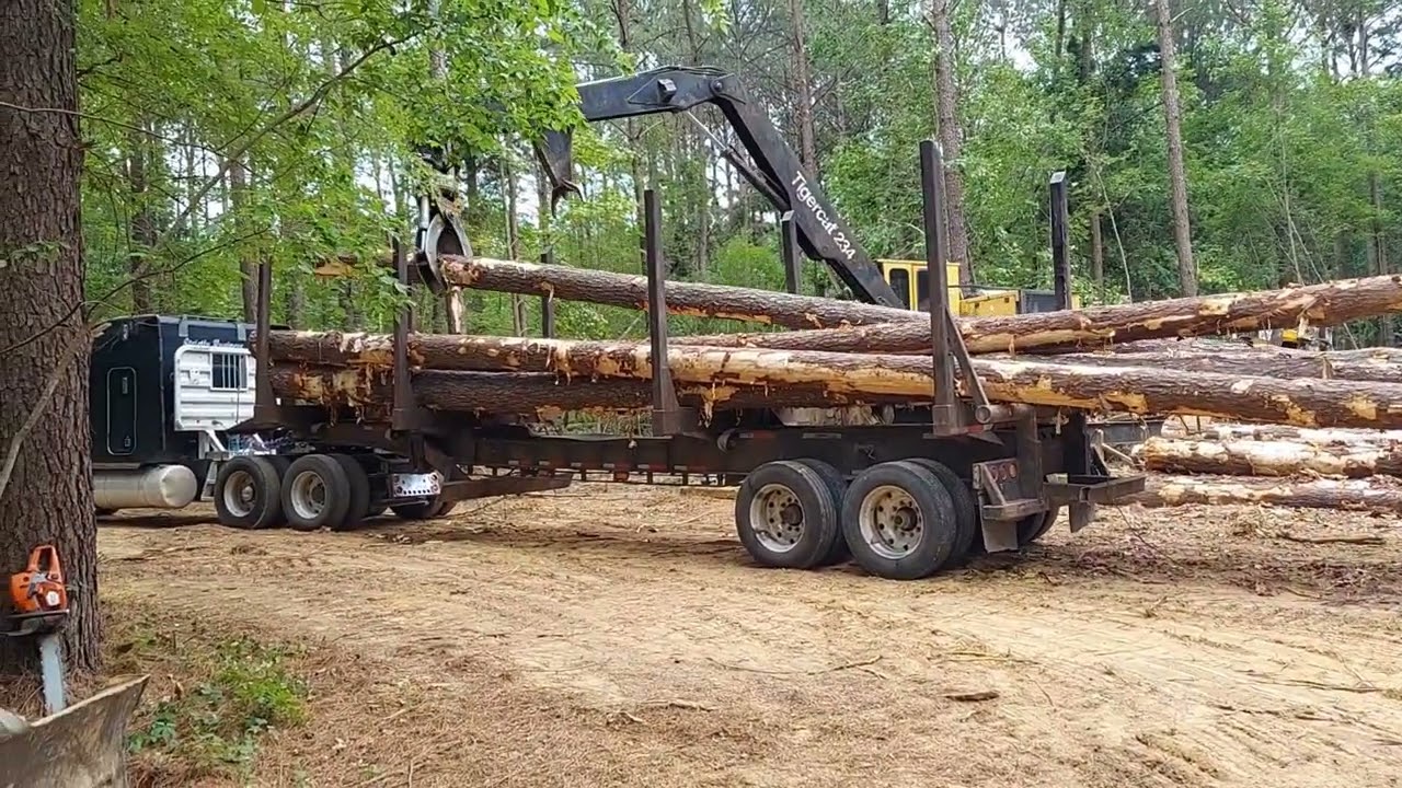 Mississippi Logging: Gotta Love That Saw Timber