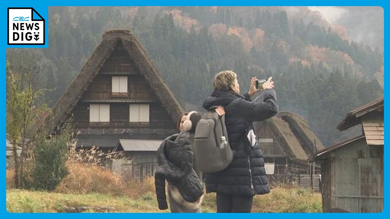 外国人観光客がクマに襲われた白川郷…岐阜の目撃件数は1000件超 ｢これからも共生していく。お互いの場所を荒らさないように」