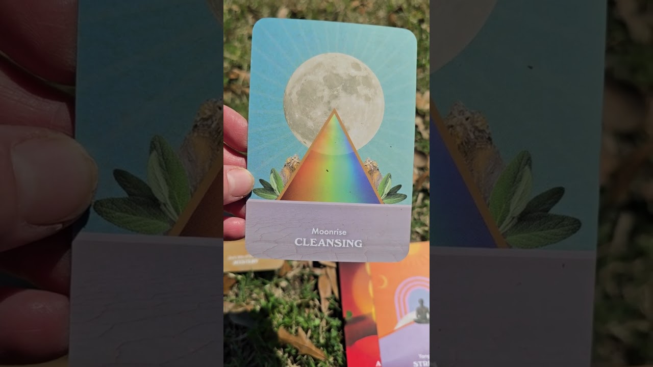 Weekly Energy Reading Feb 16–22 | Walking Into the Unknown, Divine Guidance & Celebration 