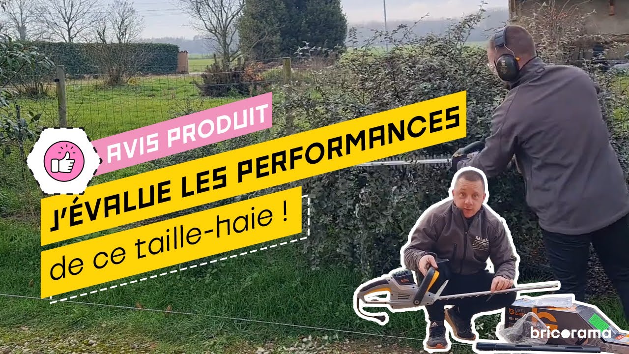 Taille-haie Bestgreen HTE600 : L&eacute;ger, pratique et efficace sur tout type de branche ? Bricorama