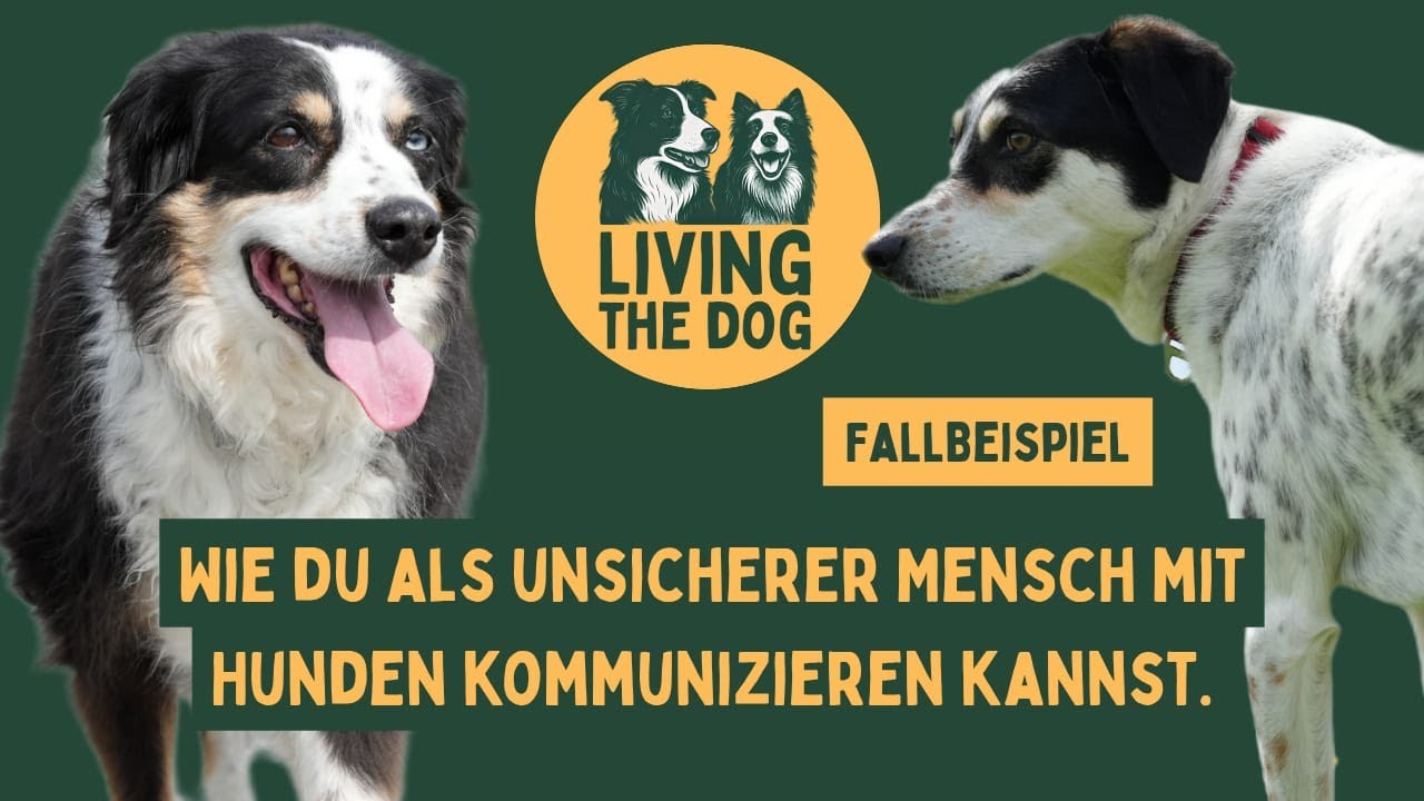 Hunde leben und ins Gespräch kommen- auch als unsicherer Mensch- mit Sky und Salsa