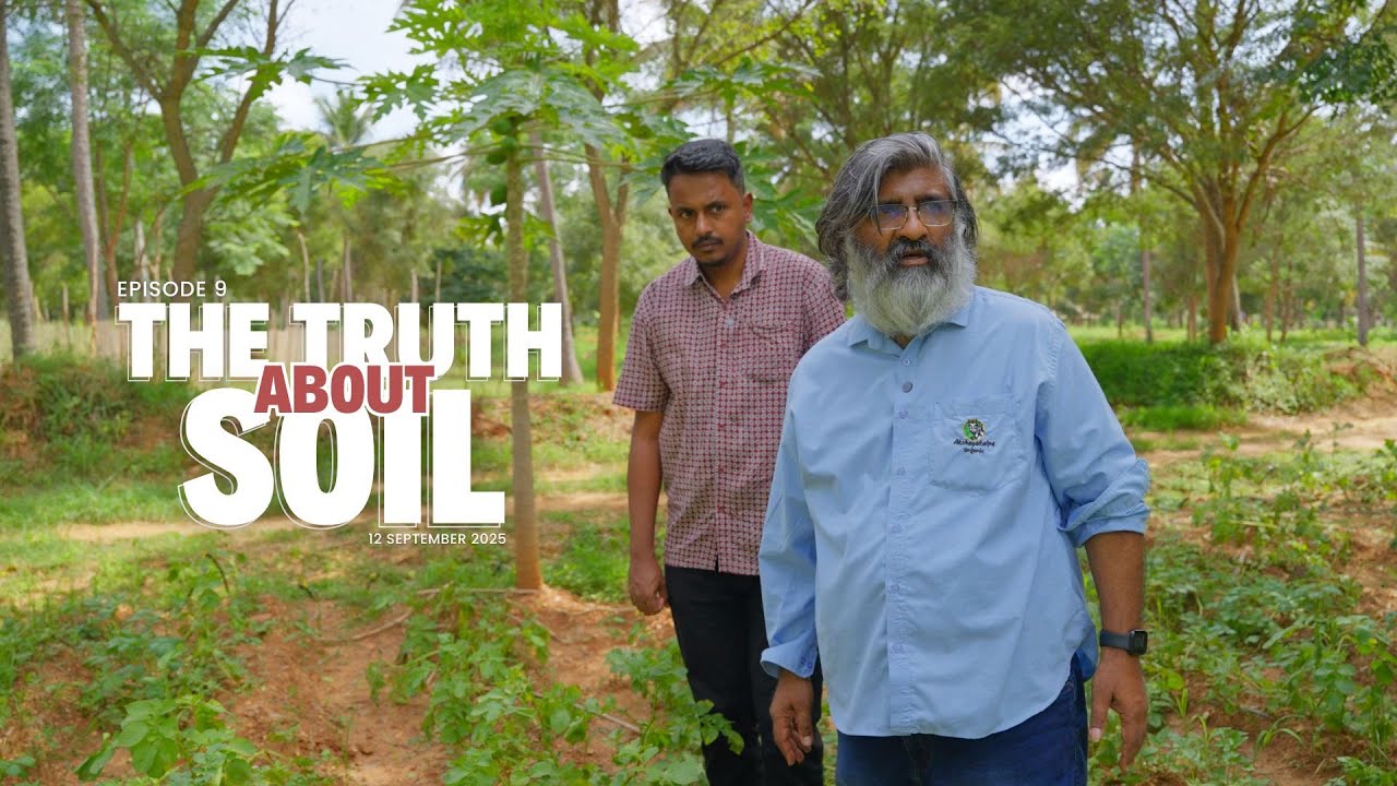 Why Understanding Soil Is The Secret To Better Farming