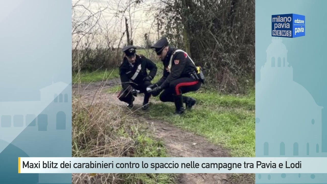 Maxi blitz anti-droga dei Carabinieri nelle campagne tra Pavia e Lodi