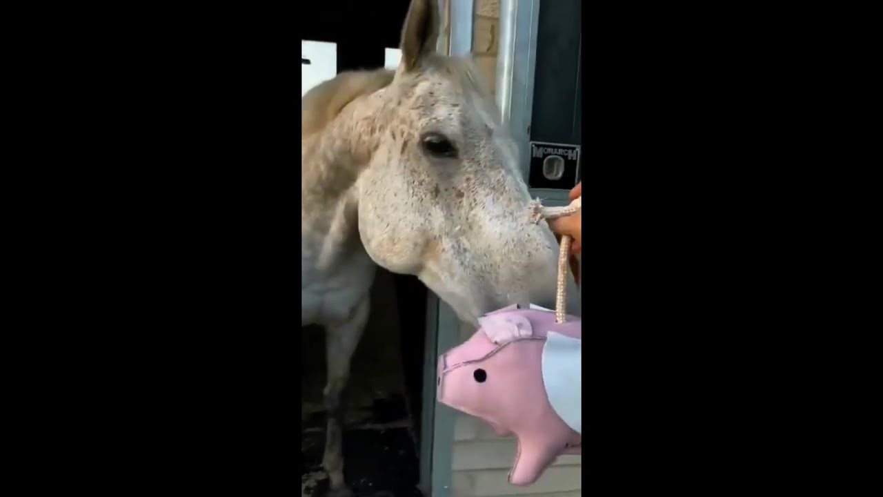 Pokud Věříte