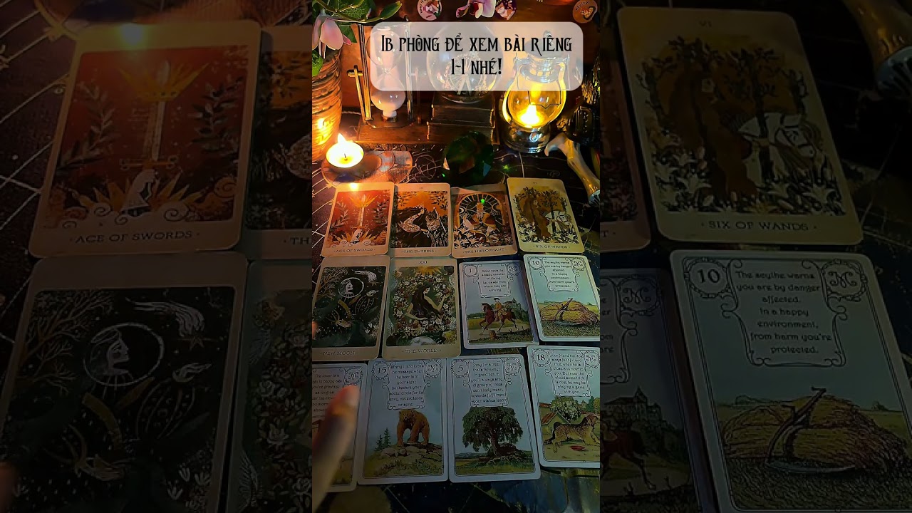 Chân dung người yêu tương lai của bạn? Trải bài chung (timeless)