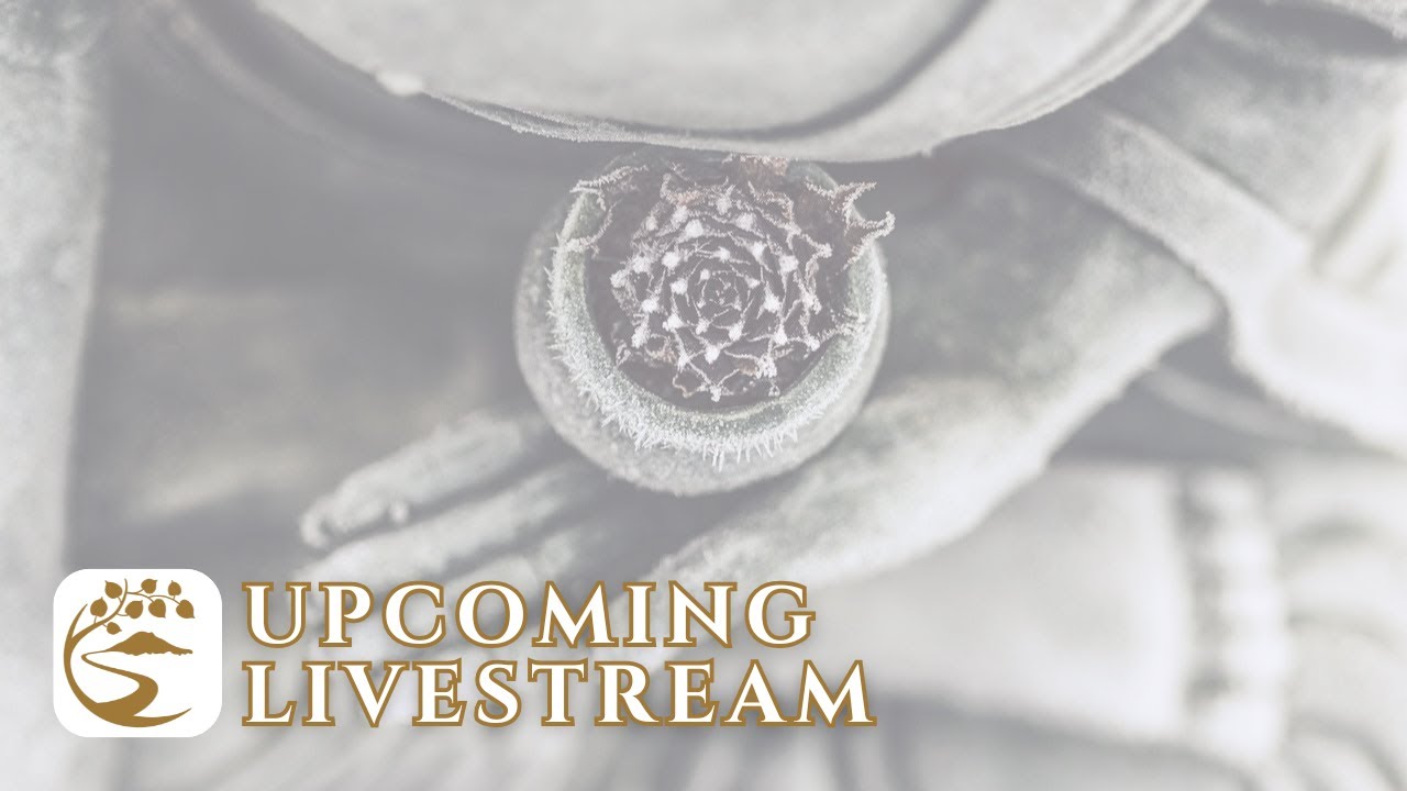 Feb 7th - Sat. Live at St. Mark’s in Seattle: Meditation, Dhamma Talk, and Q&A | Clear Mountain