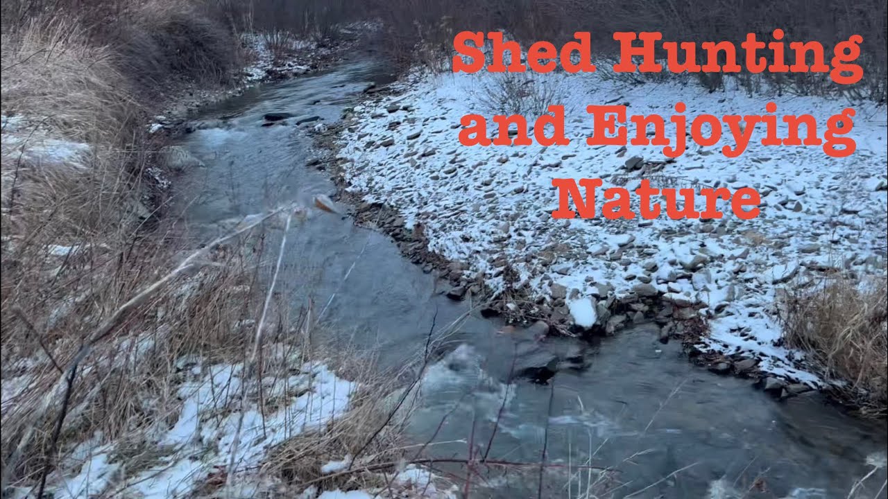 Shed Hunting and Enjoying Nature#hunting#jesus 