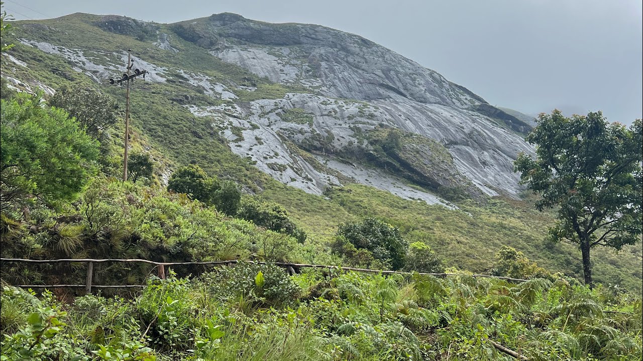 “Lost in the beauty of tea gardens and misty mountains.” 🌿⛰️#mountain #beauty 