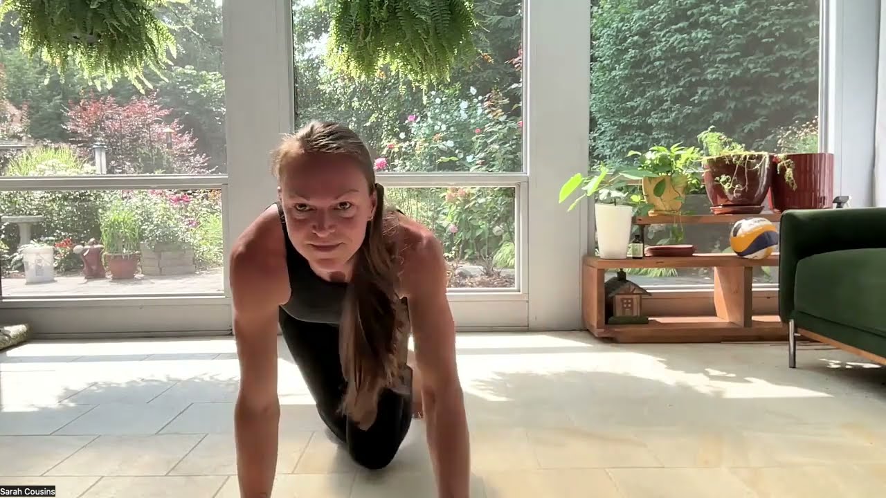 Animal Flow: L1 Movement Test Out