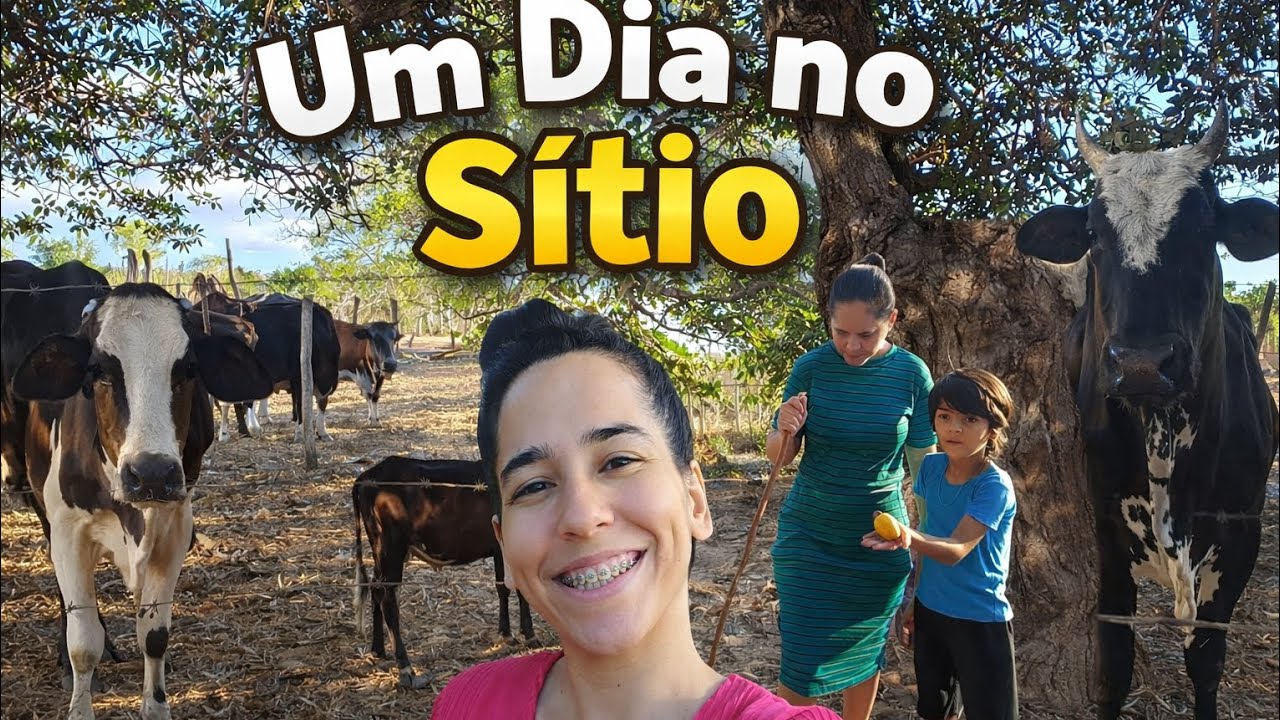 A VIDA NO SÍTIO | REBANHO | CASTANHA DE CAJU | GADOS E CAVALOS | + ETAPAS DO TERRENO 