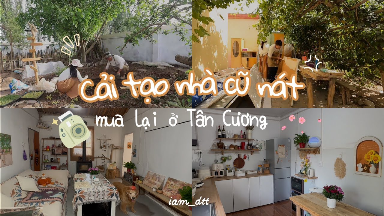 Cải tạo căn nhà cũ mục nát mua lại ở Tân Cương, cặp vợ chồng có cuộc sống như mơ ở tuổi 30 #caitao
