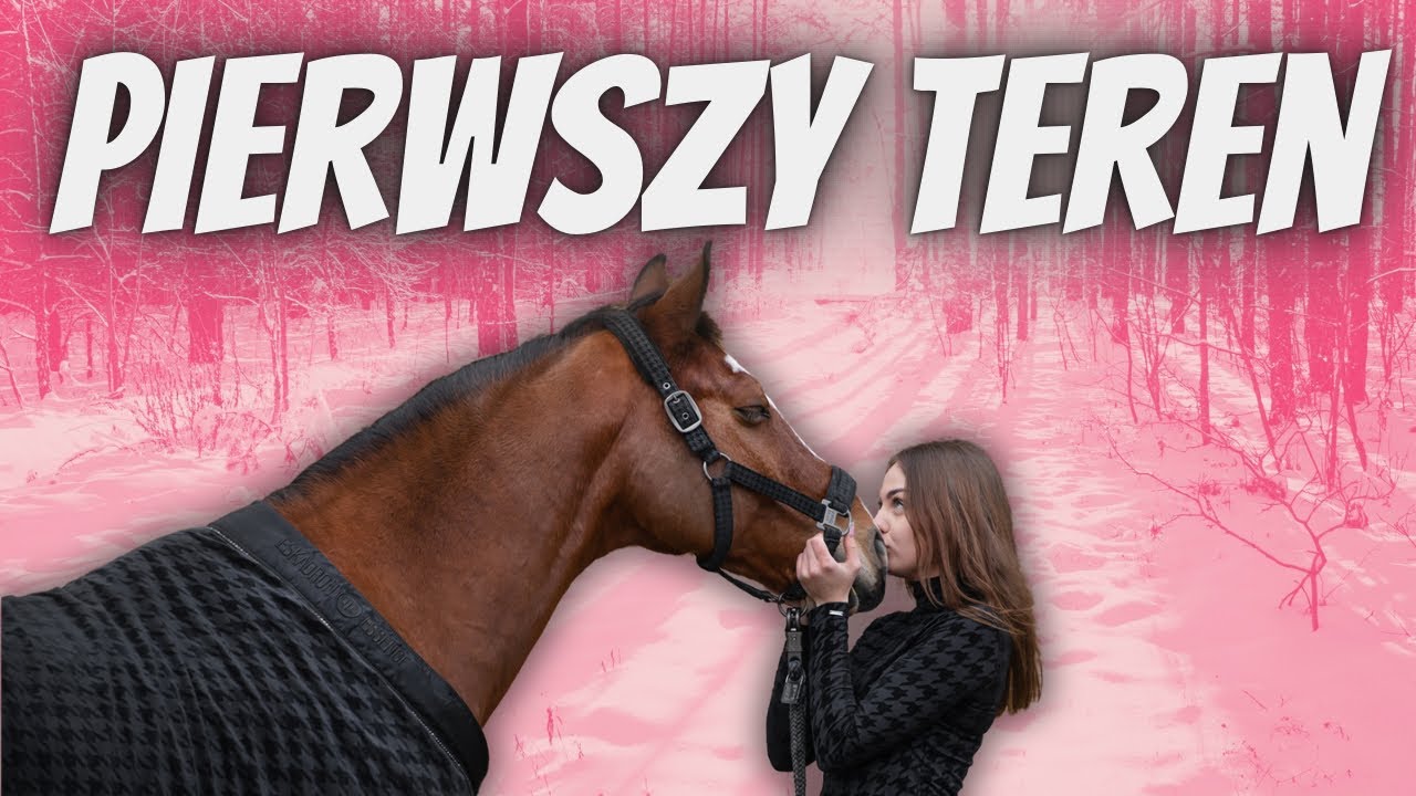 PIERWSZY TEREN W NOWEJ STAJNI - ARON I SIWY W TERENIE ❤️❄️