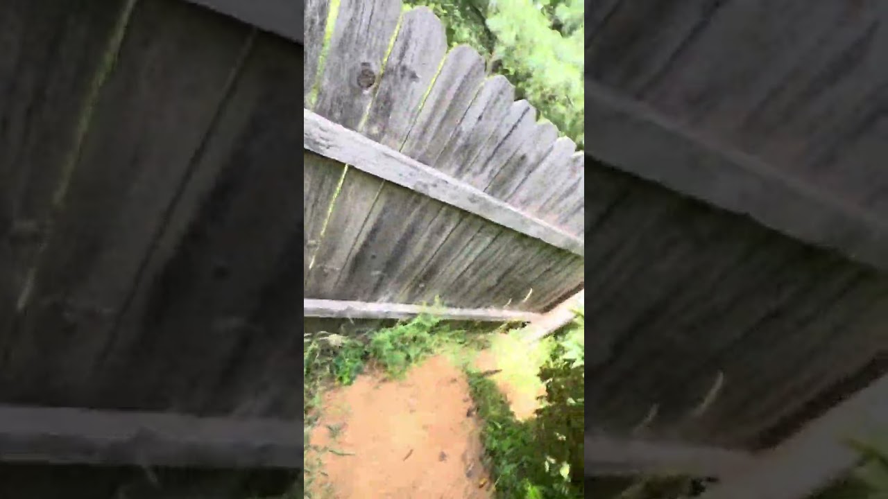 2025 Michigan Outdoor Grow!