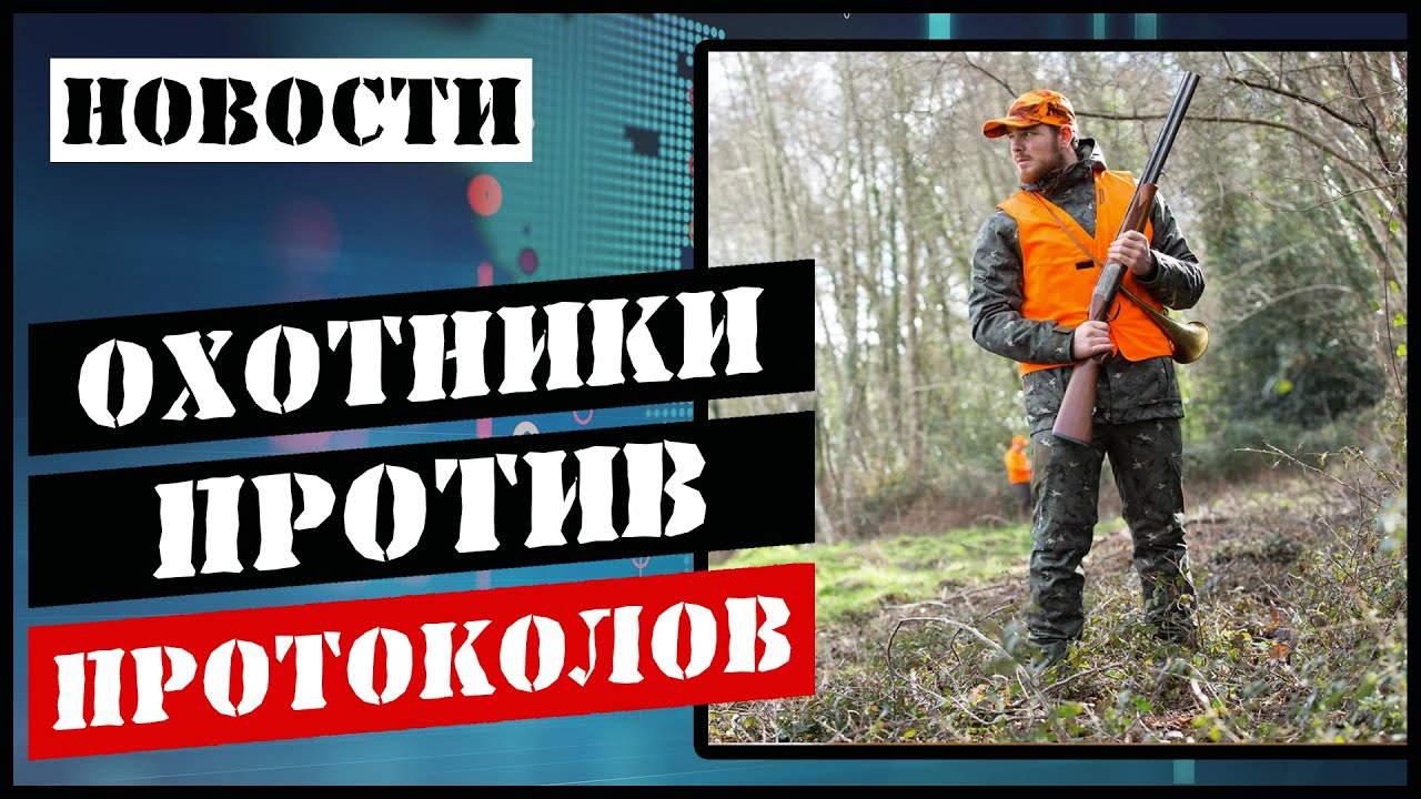 Транспортировка оружия/Сигнальные жилеты/Нахождение с собаками приравнивается к охоте/Суд. практика