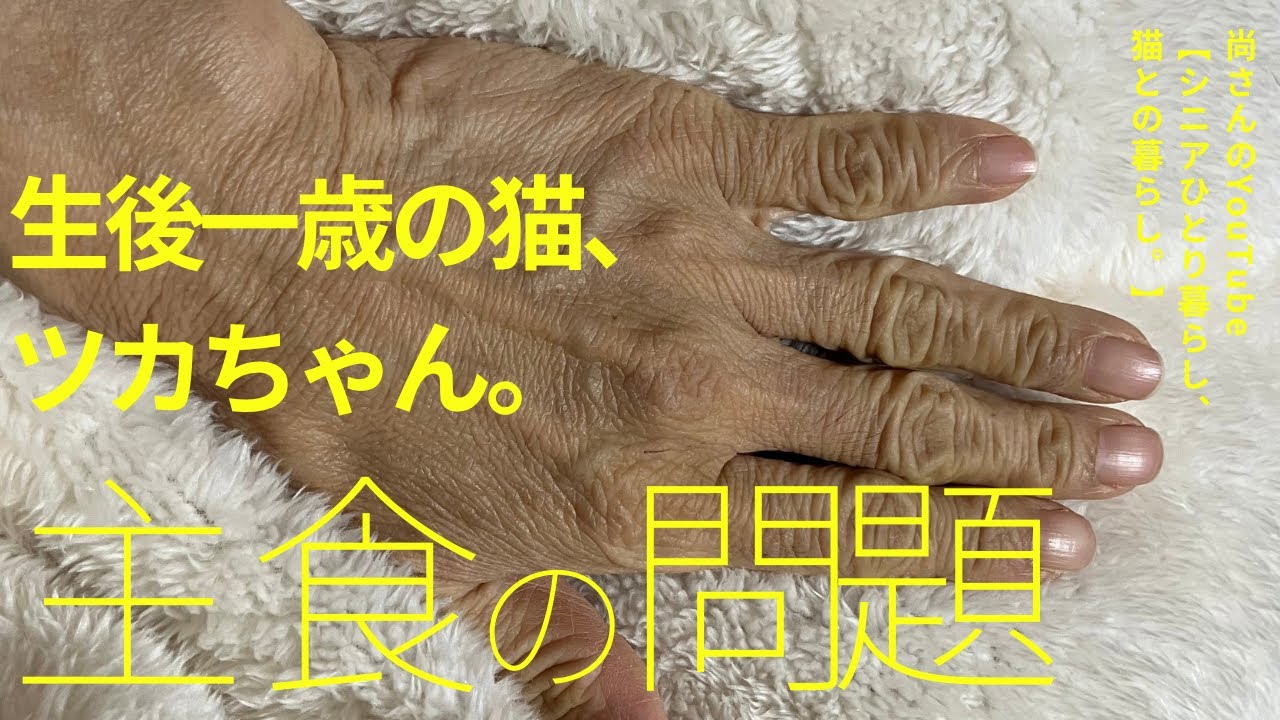物価高騰時の心豊かな猫との暮らし。最近見たい記事がない。左手の薬指が長かったよねって友人から連絡がありました。