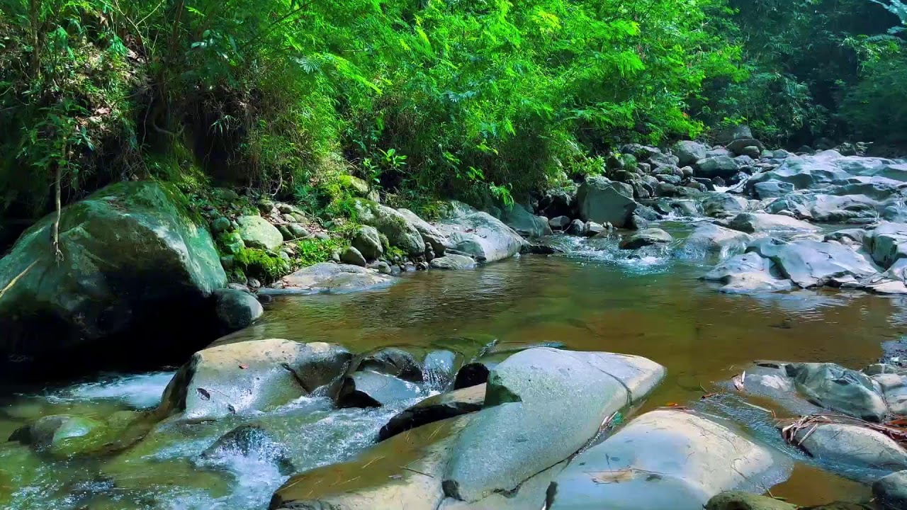 Peaceful River Flowing Sound | Gentle River, Relaxing Nature Sounds | White Noise for Sleep, Study
