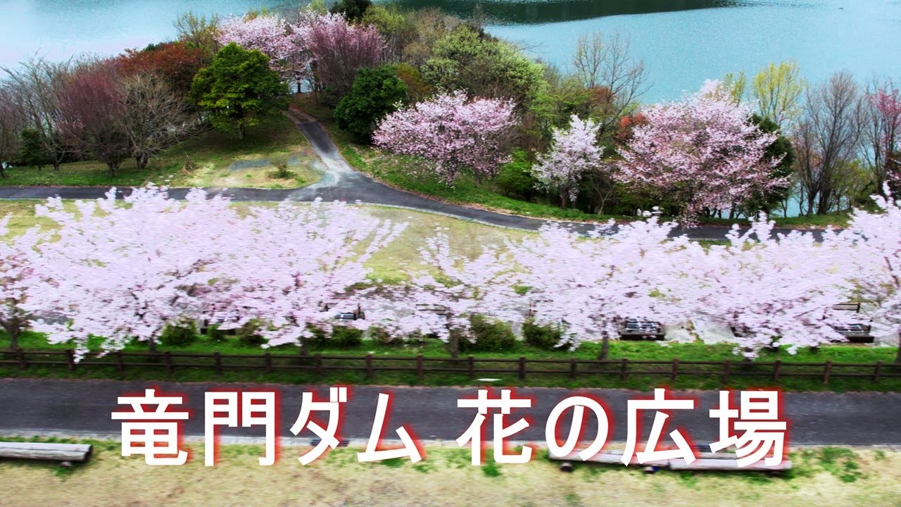 【竜門ダム 花の広場】４K
