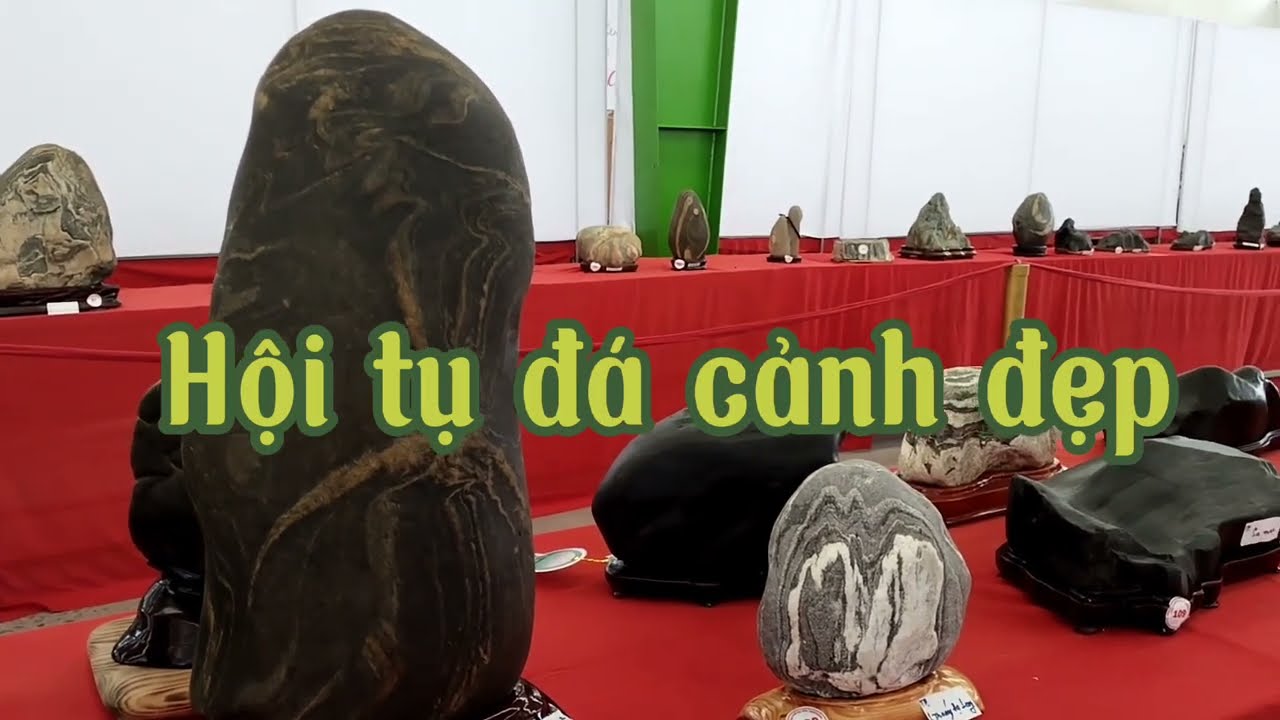 Hội tụ nhiều đá cảnh tuyệt đẹp