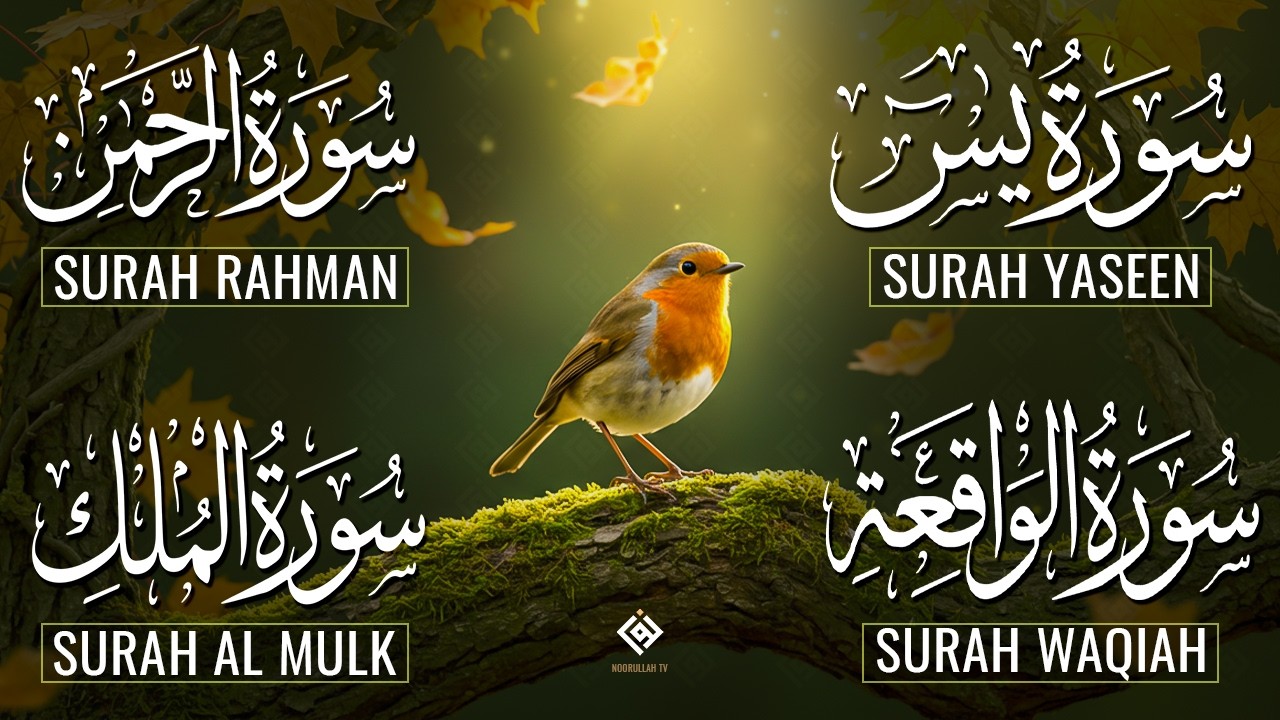 The Best Recitation Surah Yaseen (Yasin) | Surah Rahman | Surah Waqiah | Surah Mulk