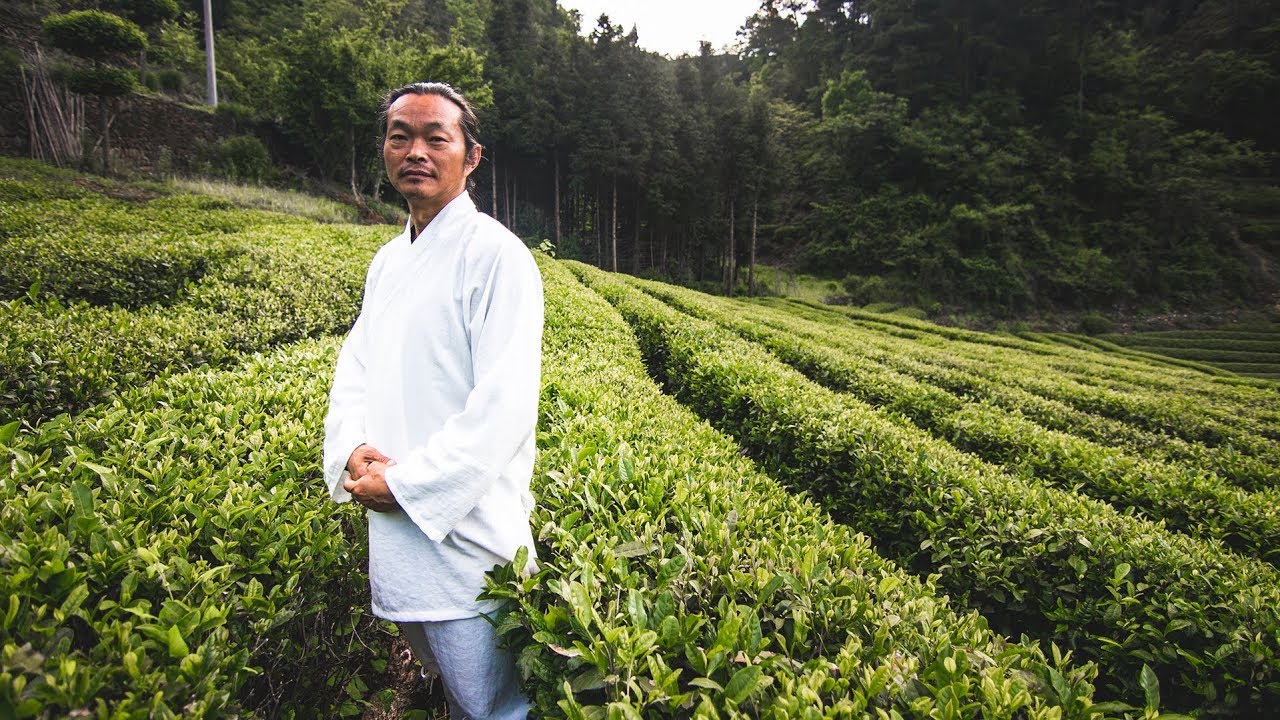 Chinese Green Tea: How it's made, with Master Gu