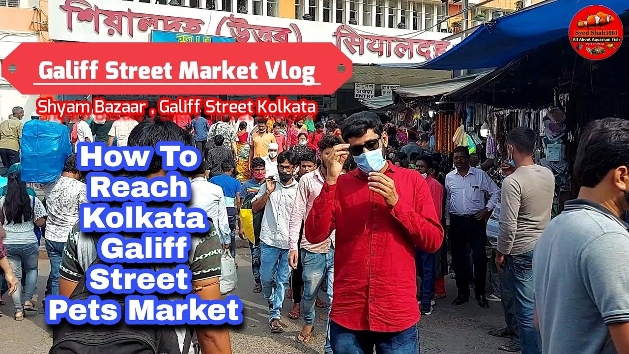 Galiff Street Fish Market Kolkata - Vlog 2021