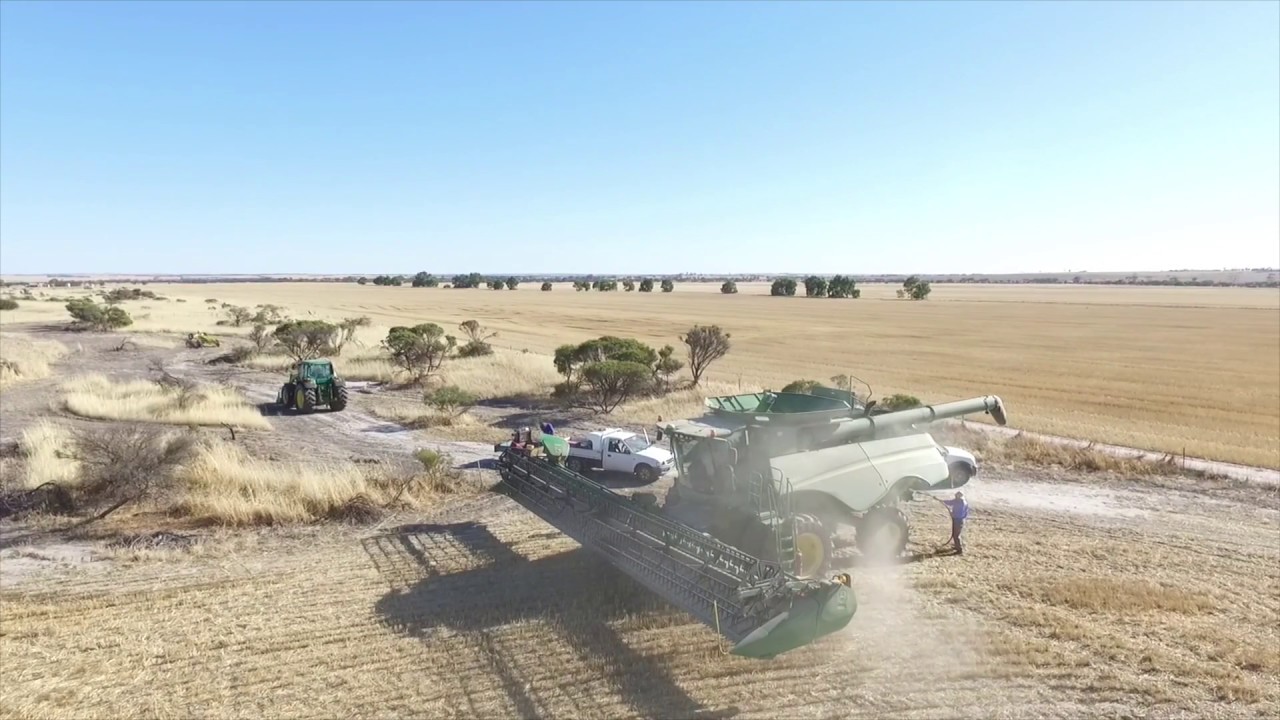 Harvest 2016/17