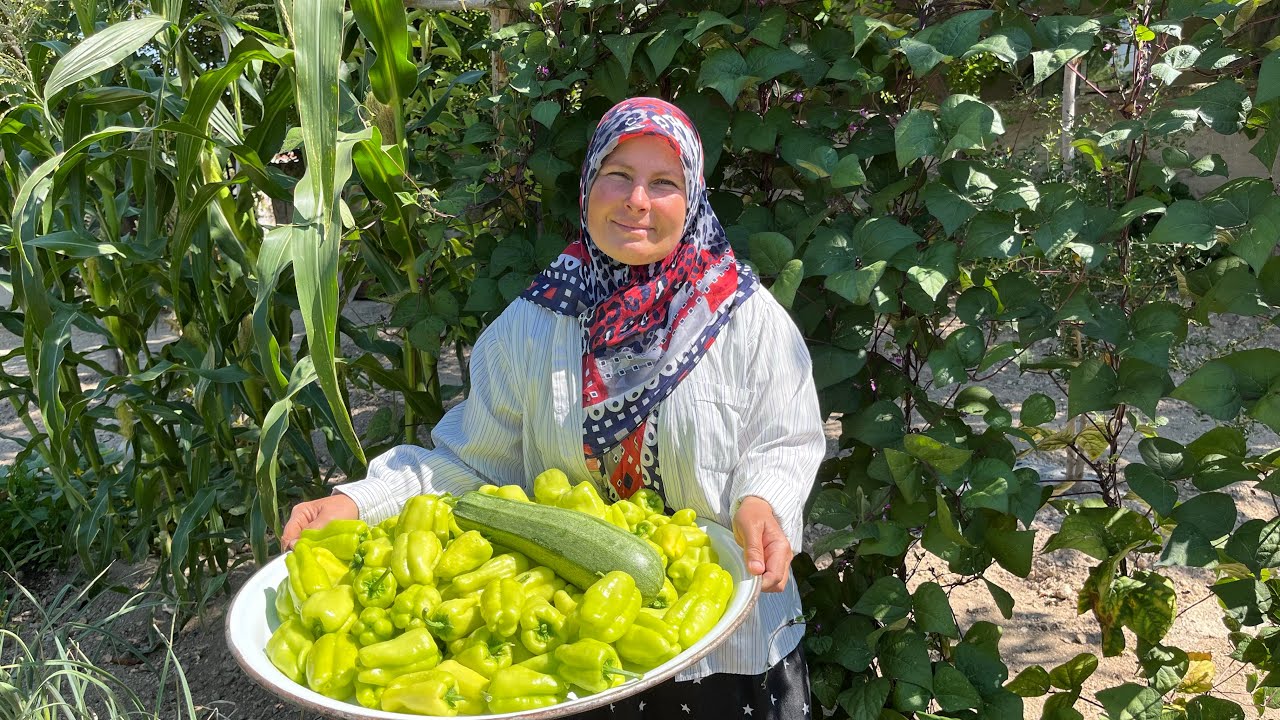 DOLMALIK BİBER KURUTMA ~ KIŞLIK HAZIRLIKLAR ~ BAHÇEDEN SOFRAYA  ~ KÖYDE YAŞAM