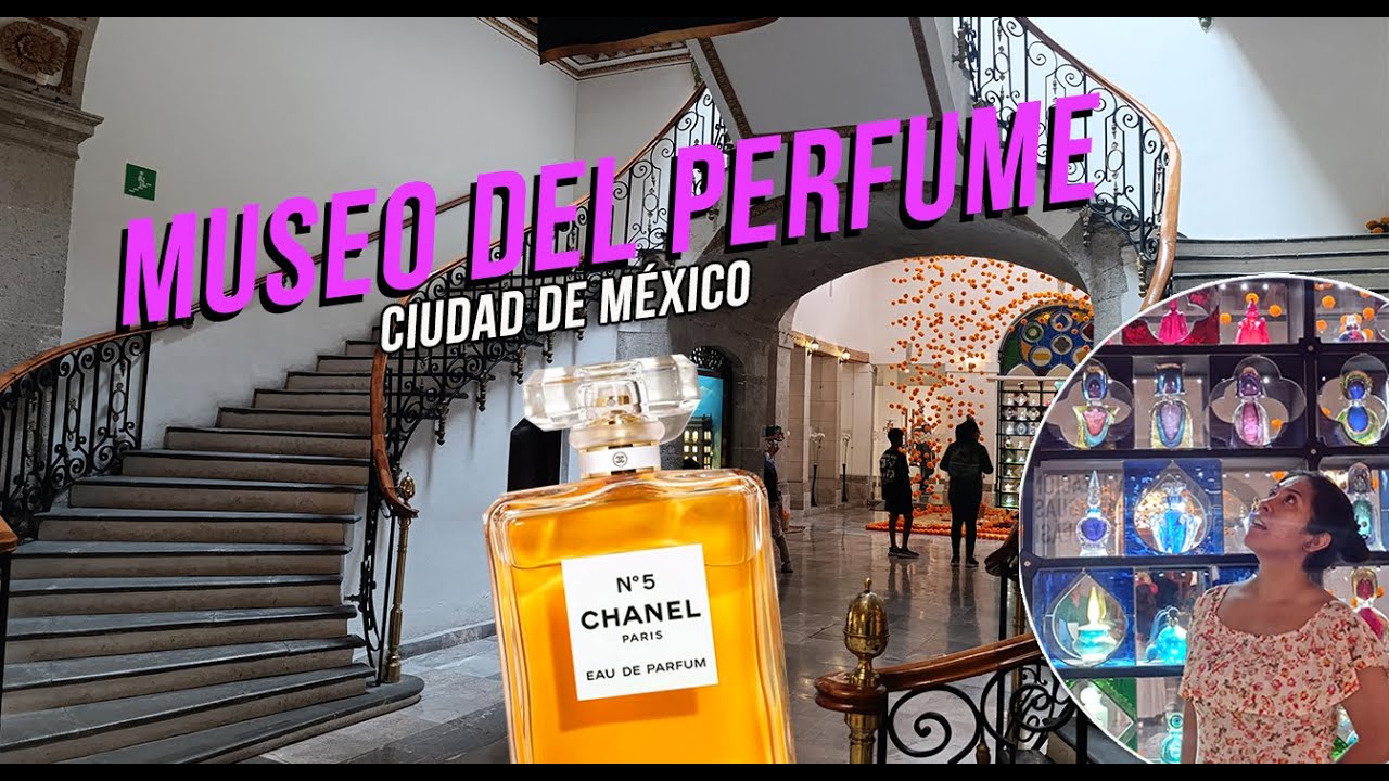 Así es el Museo del Perfume de Ciudad de México 🌸🧴Una experiencia sensorial en el Centro Histórico