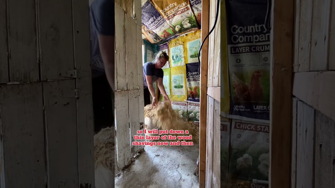 Prepping the Chicken Coop for Winter #chickencoop #DIY #chickens