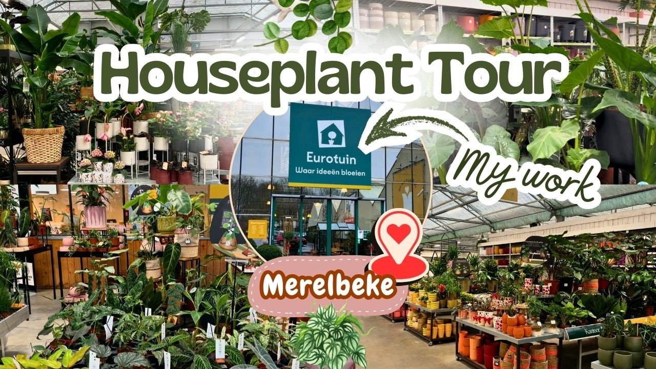 Houseplant Tour of Eurotuin Merelbeke (my work) 🌿🛍️