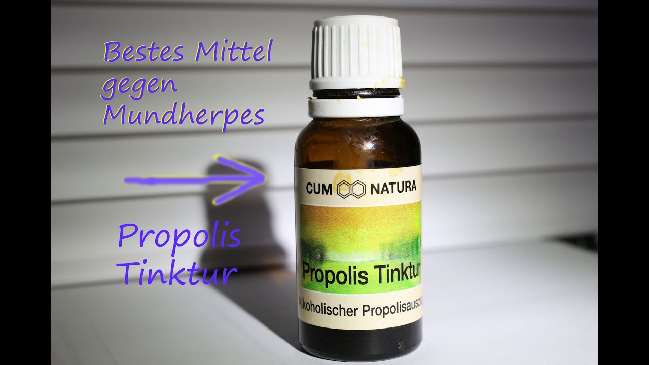 Propolis Tinktur , bestes heilendes mittel bei mundherpes! Propolis tincture healing oral herpes