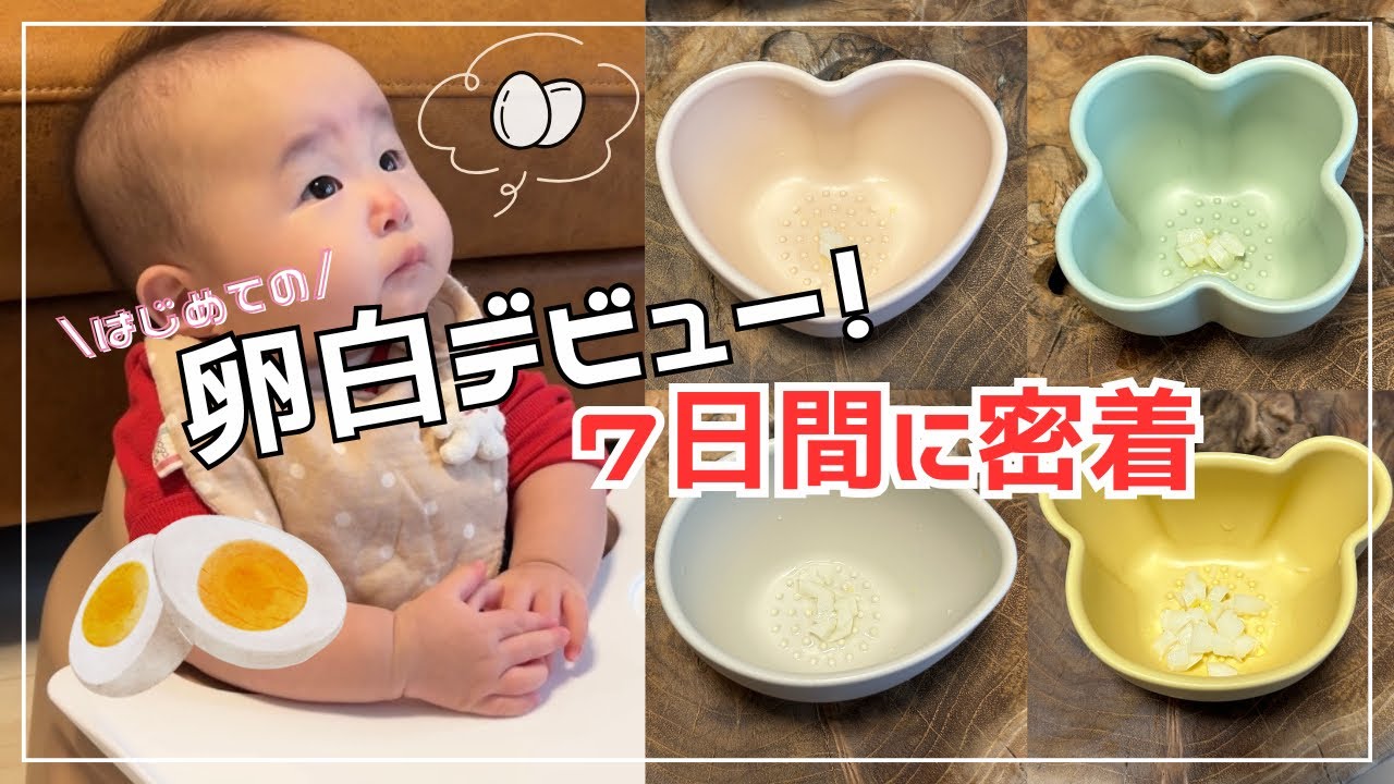 【離乳食中期・後期】卵白デビューでまさかの反応！？赤ちゃんの7日間に密着してみた