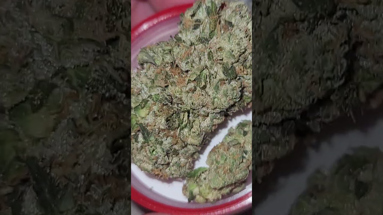 💎💯💯💯✅️⛽️⛽️⛽️ LAX PACKS STRAIN SOUR DIESEL 👌👌👌💪💪💪