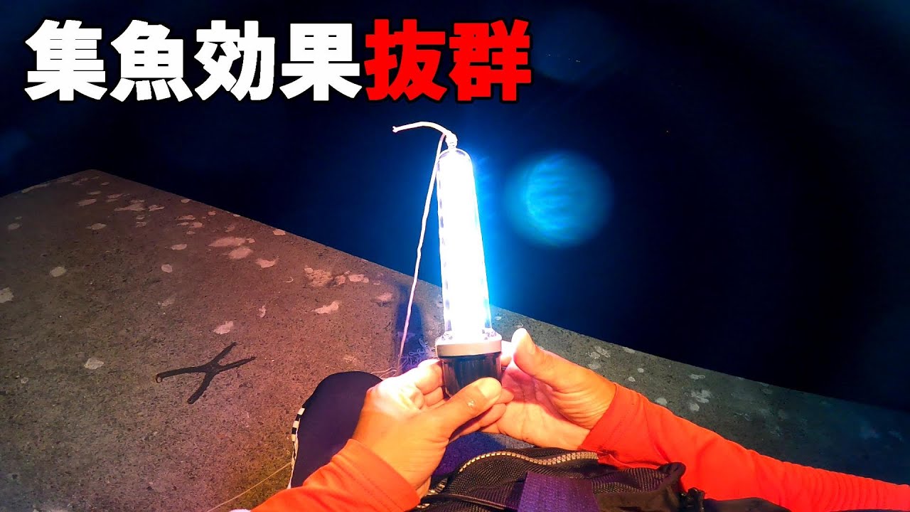 太刀魚、アジ、サバめっちゃ釣れます。