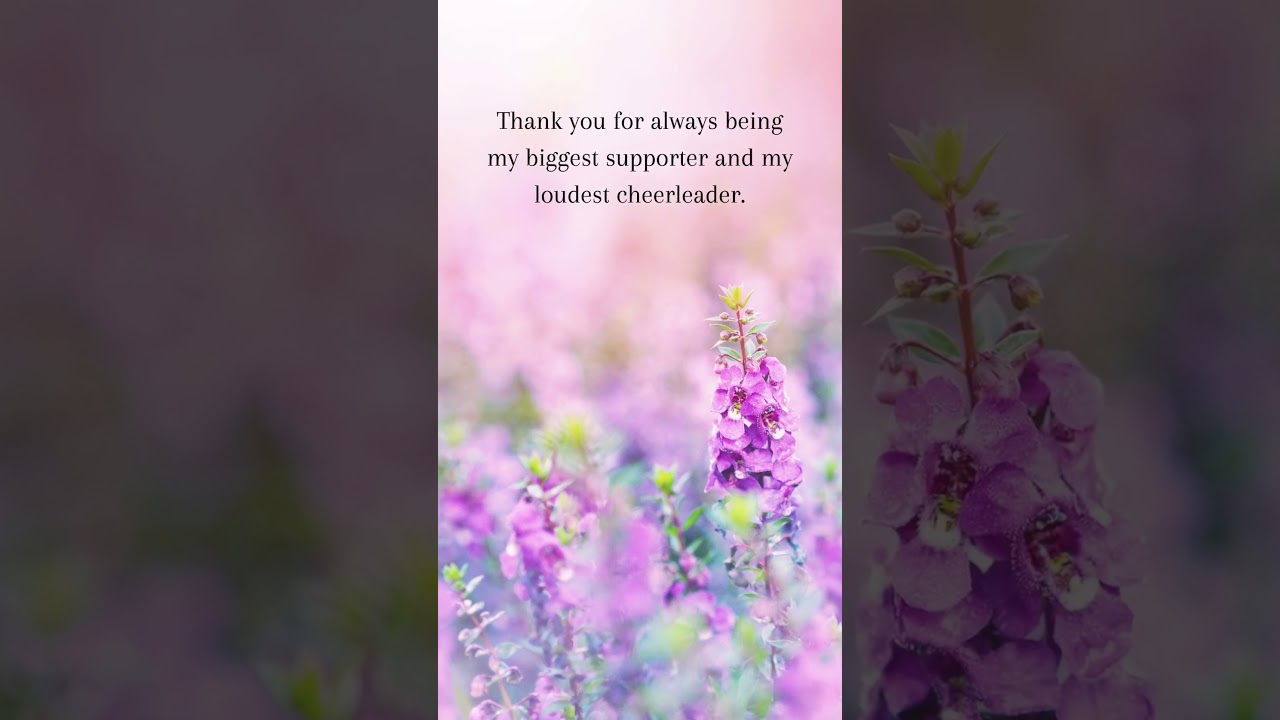 Thank you for always being my biggest supporter | Love Quotes #shorts #love #gratitude #relationship
