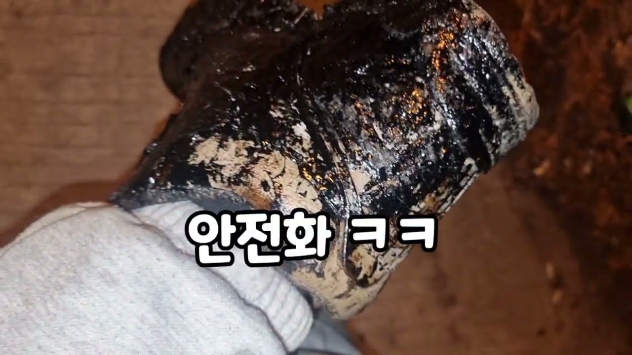 배달휴무 오늘은 본업하로 가는날