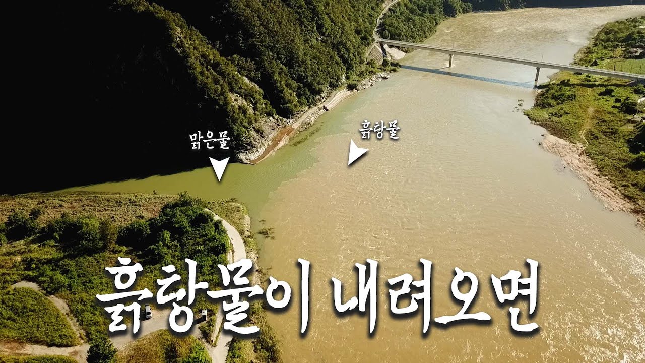 본류에 흙탕물이 내려오면 지류권을 노려보자_[한반도쏘가리2_08편]