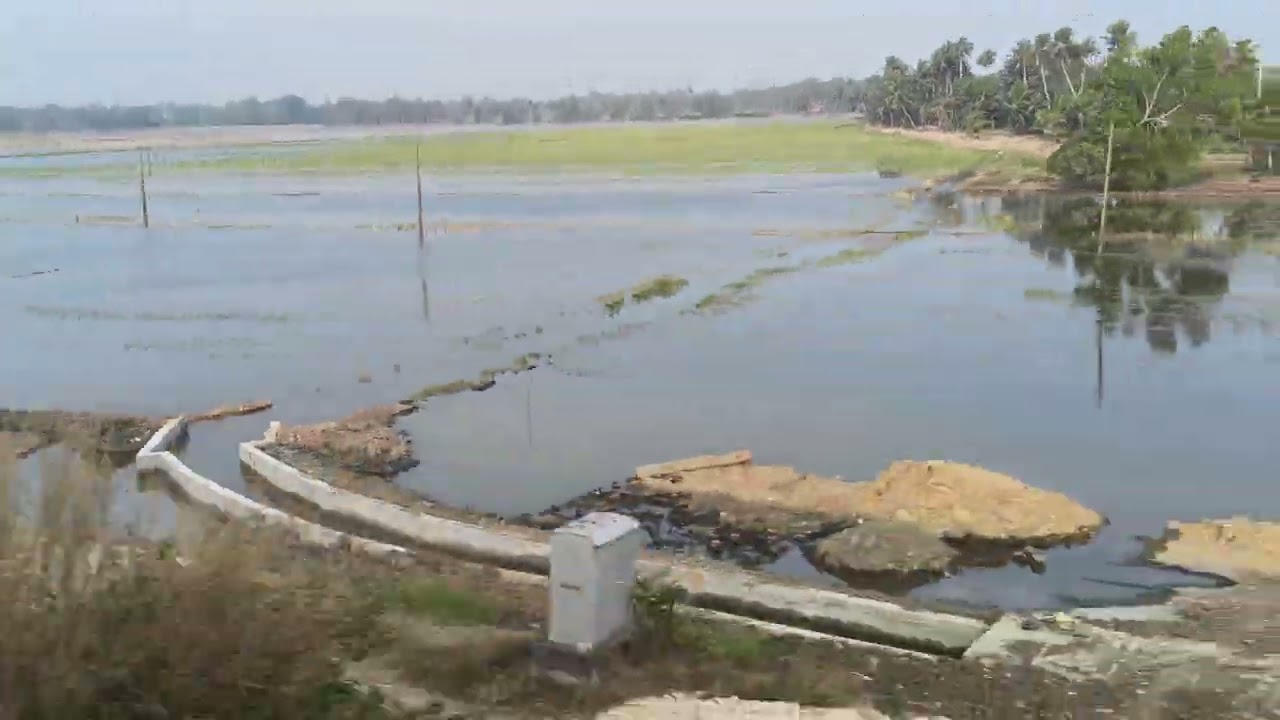 Cultivate land near salem