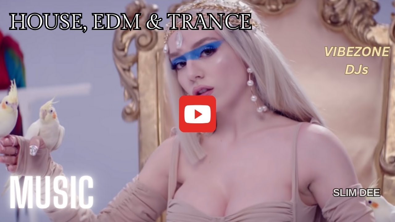 SLIM DEE || HOUSE, EDM, POP & TRANCE MIXTAPE 2025 || Vibezone DJs