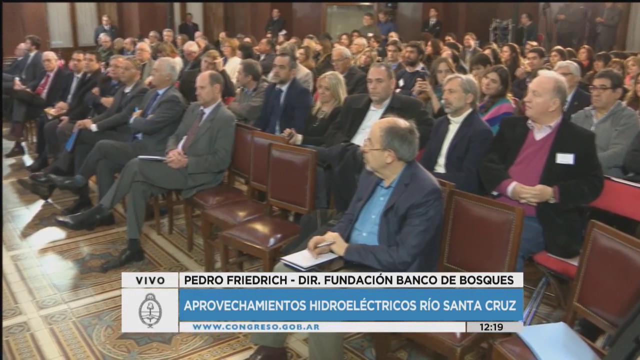 Pedro Friedrich - Audiencia P&uacute;blica proyecto represas en el R&iacute;o Santa Cruz