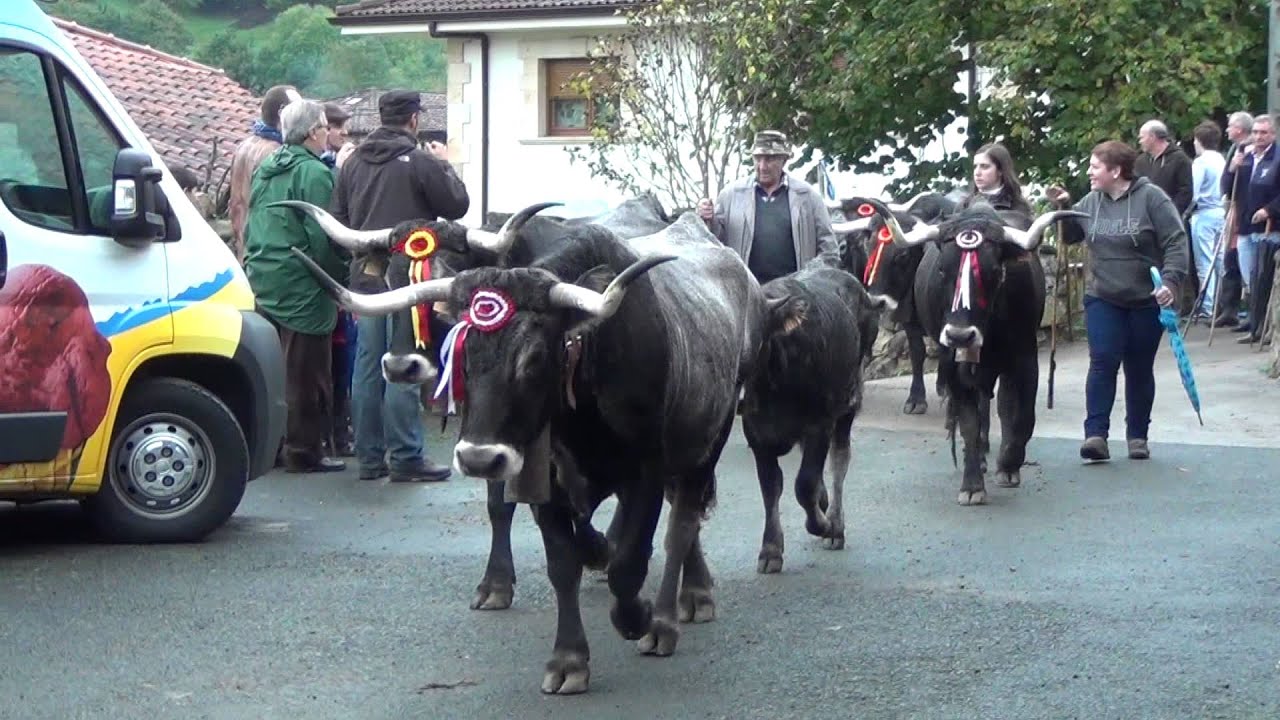feria cieza 04-11-2012