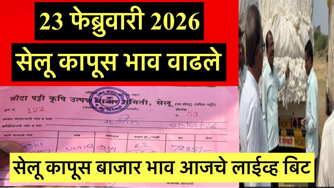 दि.23/02/2026 कृषी उत्पन्न बाजार समिती सेलु कापुस बाजारभाव आजचे बिट #agriculture