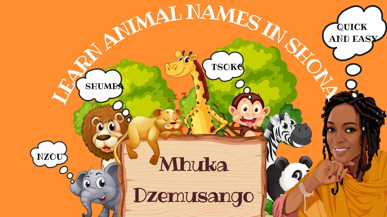 WILD ANIMALS IN SHONA | EASY SHONA ANIMAL NAMES | BASIC SHONA
