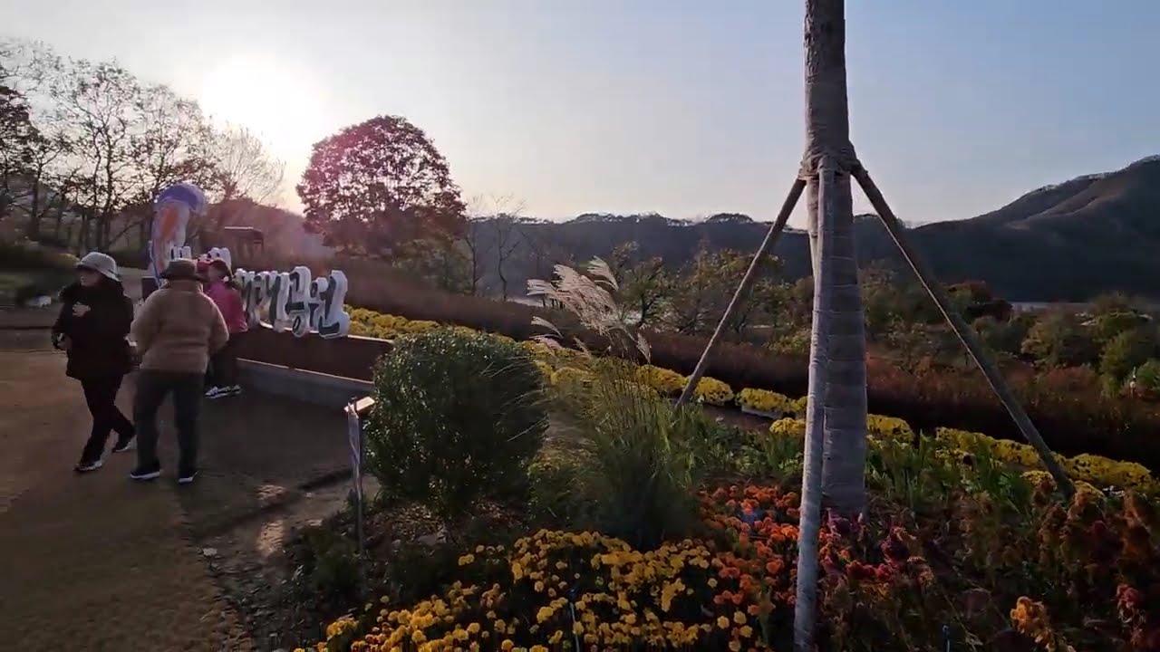 붕어섬   복사본